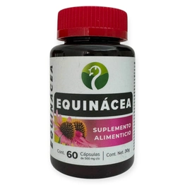 Equinácea 60 cápsulas 500mg, Foto 1 Nutriseller